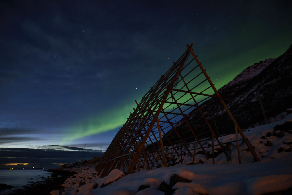Traditional fish racks for drying stockfish near Ringstad Resort