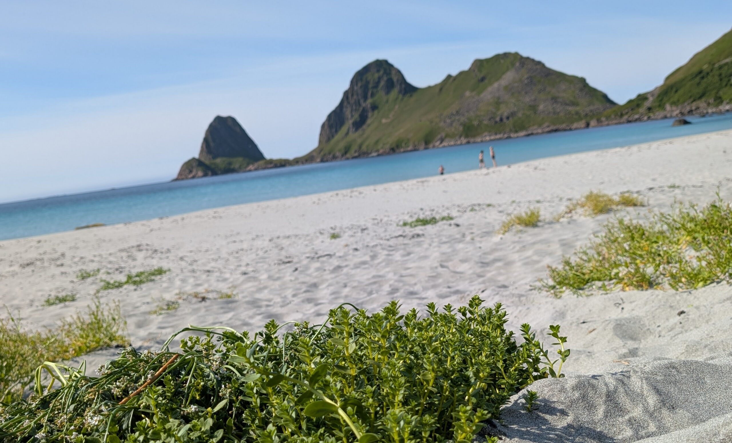 White sandy beach with turquoise sea and mountains near Ringstad Resort