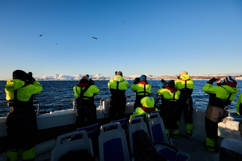 Group of people in bright suits photographing sea eagles from a boat on the Norwegian coast
